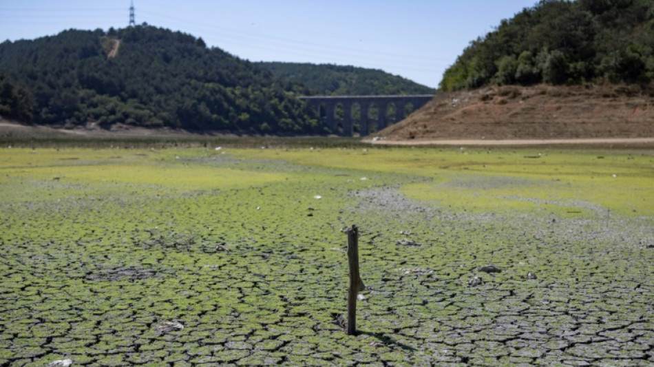 Los embalses de Estambul caen a niveles preocupantes por la ola de calor