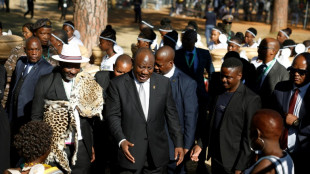 El presidente de Sudáfrica anunció este domingo la composición de su gabinete de coalición