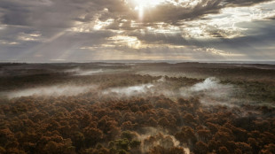 Incendies en Gironde: le feu "maîtrisé" à La Teste-de-Buch