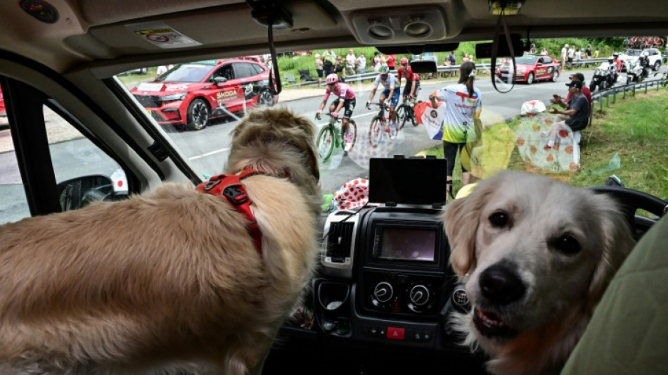 Tour de France: Les sprinteurs à l'affût de la 11e étape