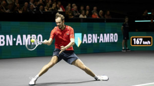 Daniil Medvedev supera a Jannik Sinner en la final del torneo ATP de Róterdam