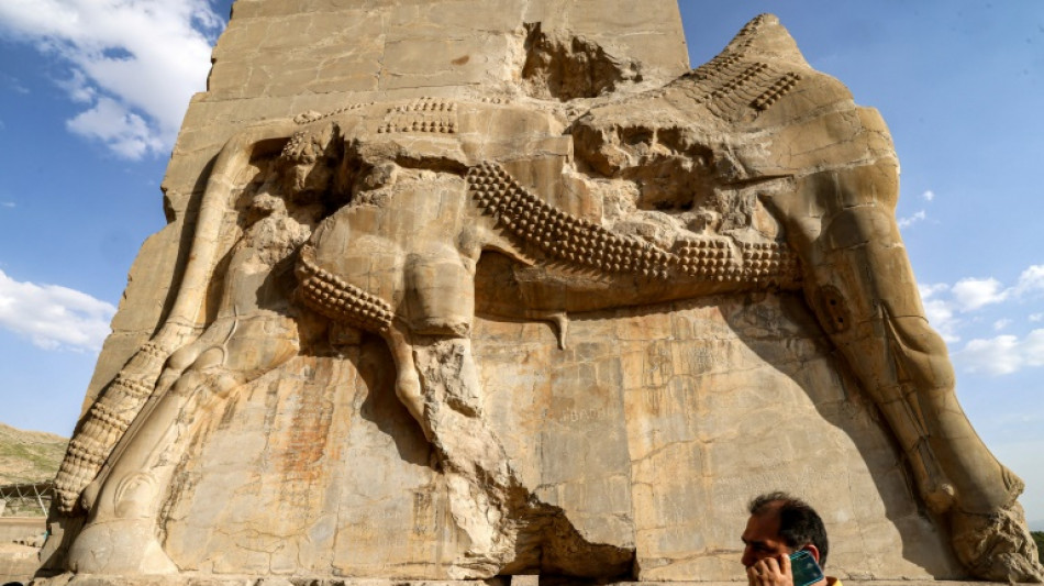 The stone-eaters that threaten Iran's ancient Persepolis