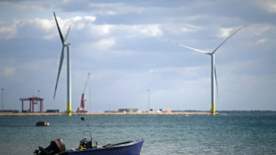 The Med gets first offshore wind farm as Italy vows energy revolution