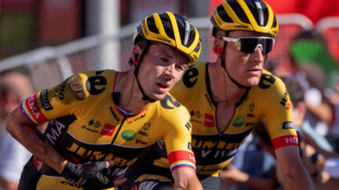 Tour d'Espagne: un nouvel abandon sur chute pour Roglic le maudit