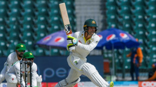 Fifties for Carey, Green blunt Pakistan as Australia reach 320-5