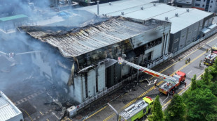 18 Chinese among 22 dead in South Korea battery plant fire