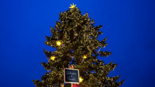 Hundert Weihnachtsbäume von Supermarktgelände in Thüringen gestohlen