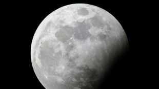 Unos científicos habrían encontrado evidencias del choque planetario que formó la Luna