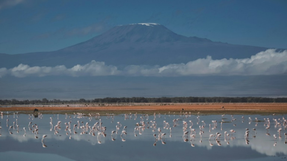 Conexión a internet permitirá compartir en directo ascensiones al Kilimanjaro