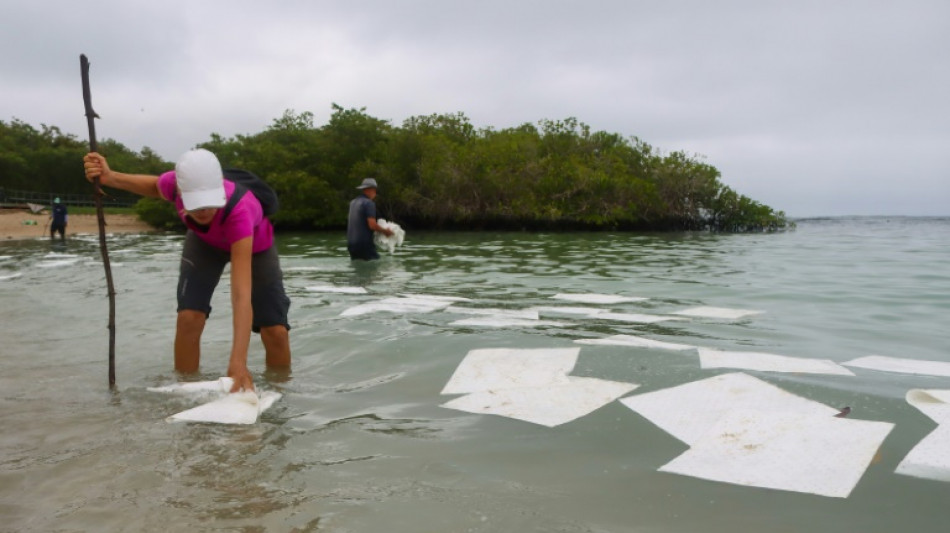 No 'significant' harm from Galapagos diesel spill: reserve