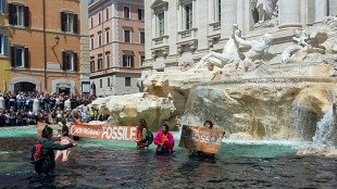 Climate activists turn Rome's Trevi Fountain black