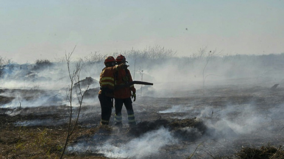 Größtes Feuchtgebiet der Erde: Ausnahmezustand wegen Bränden im Pantanal