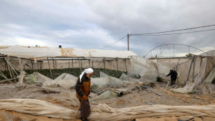 A Gaza, des terres fertiles ravagées par la guerre