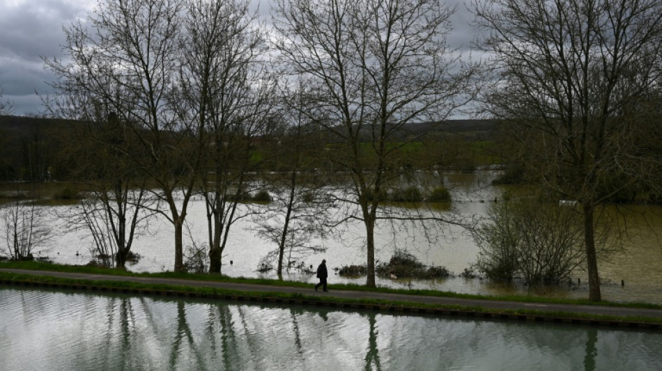 Crues: les pics atteints en Bourgogne dans les endroits les plus touchés