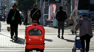 Japón lanza robots de entrega "humildes y adorables"