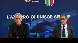 Euro 24: Figc e ministero Ambiente unite verso sostenibilità