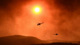 Early fires an ominous Greek summer warning: experts