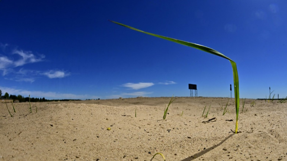 Expertengremium sieht bei Wasser "Bedrohungslage von globaler Dimension"