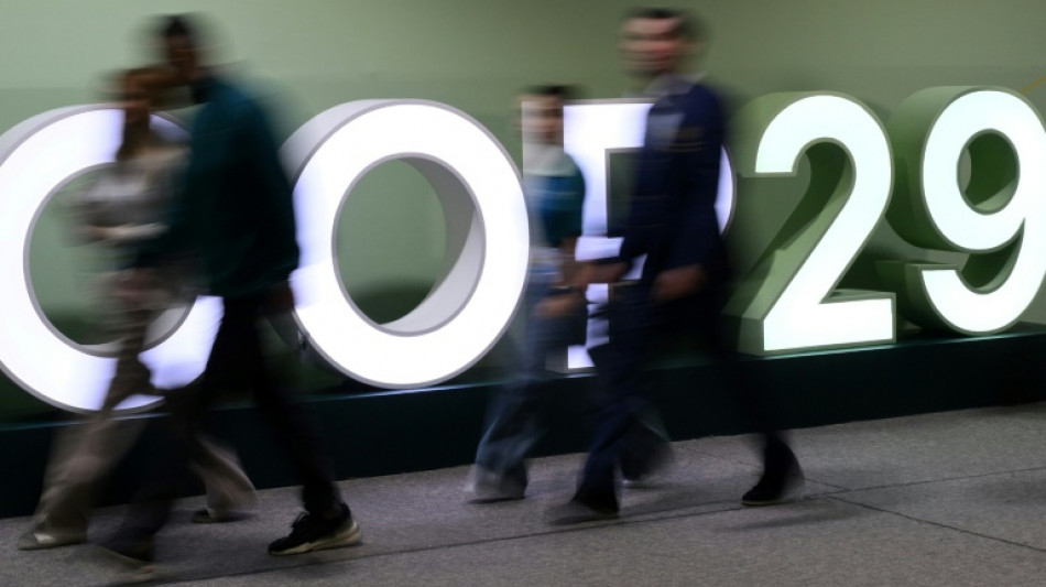 Países ricos ofrecen USD 250.000 millones anuales en COP29, insuficientes para naciones en desarrollo