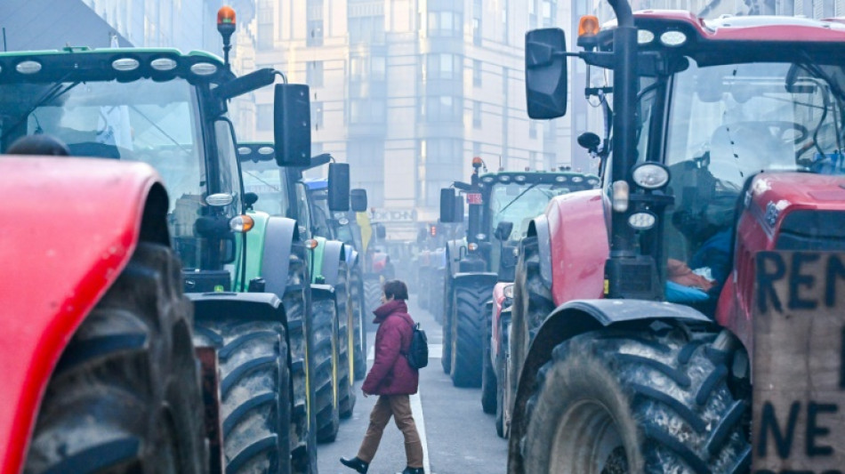 EU-Agrarminister beraten über Antworten auf Bauernproteste