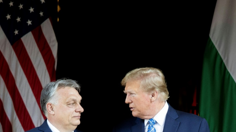 Trump 'não vai dar nem um centavo' à Ucrânia, afirma Orban