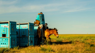 Caballos salvajes de Przewalski regresan a las estepas de Kazajistán