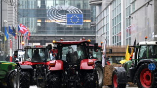 Colère agricole: ultime feu vert des 27 à la révision de la PAC