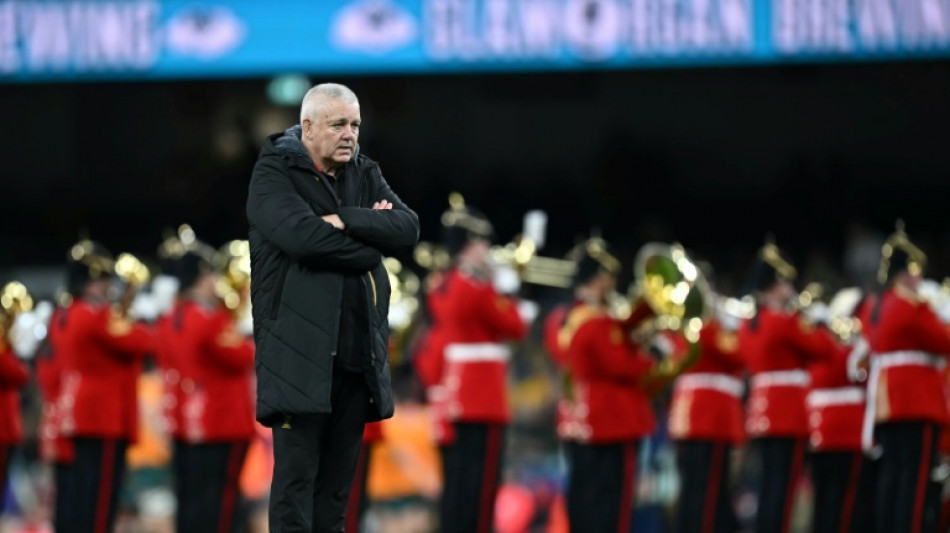 Gatland has not become a 'bad coach' says Springboks' Erasmus