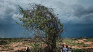 Jeûne mortel dans une secte au Kenya: le bilan atteint 90 morts, les recherches suspendues