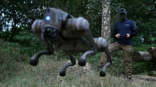 Cães-robôs ajudarão soldados ucranianos no 'front'