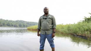 Saving the mysterious African manatee at Cameroon hotspot