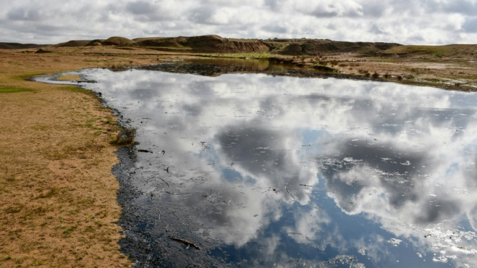 En Irak, de vastes terres agricoles contaminées par des écoulements de pétrole