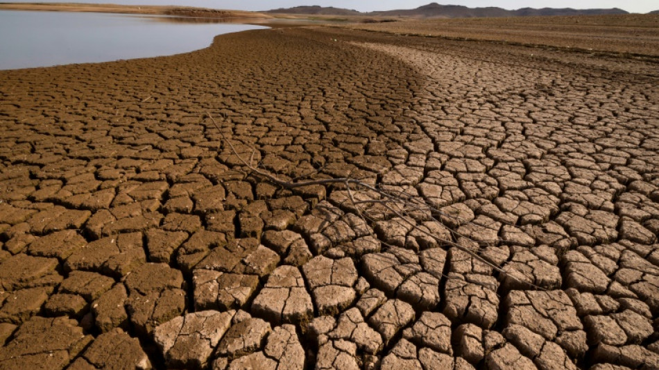 El mundo vive nueve meses consecutivos de récords de temperatura