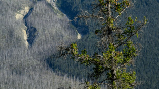Evacúan en Canadá el parque turístico nacional de Jasper debido a un gran incendio forestal