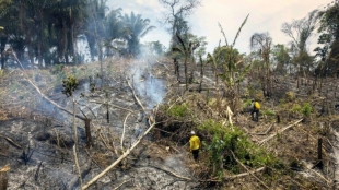 Medio centenar de detenidos en Bolivia por provocar incendios forestales