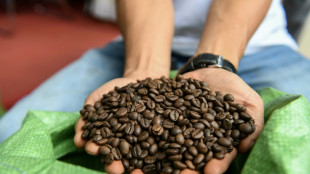 Vietnam quiere promover su café robusta en un mundo cada vez más caliente