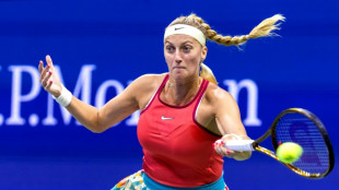 La tenista Petra Kvitova pone en pausa su carrera por su embarazo