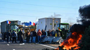 "Ici on reste". Dans le Gard, les agriculteurs ne désarment pas 