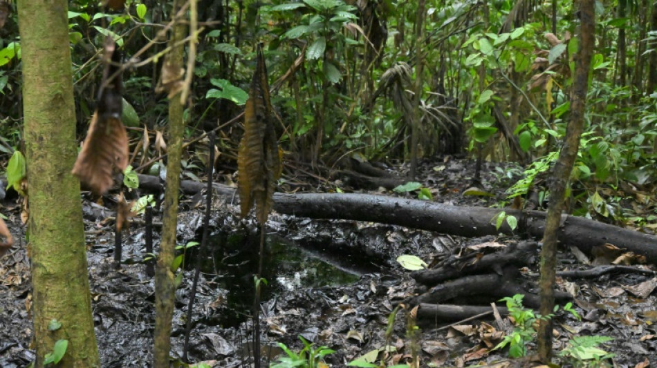 ‘Basta’: o clamor de indígenas pelo fim da exploração petrolífera na Amazônia equatoriana