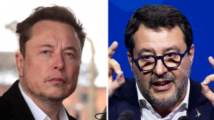 Musk con Salvini, 'Pm pazzo,dovrebbe andare lui in galera'