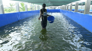 Senegal looks to aquaculture as fish stocks dwindle 