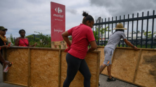 "C'est de la survie": en Martinique, des manifestants vent debout contre la vie chère