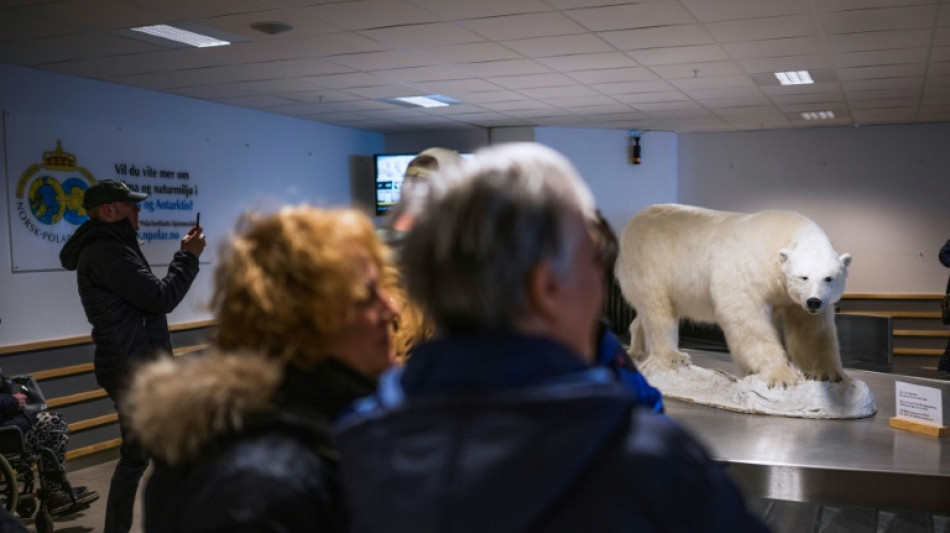 La difícil búsqueda del turismo sustentable en el Ártico