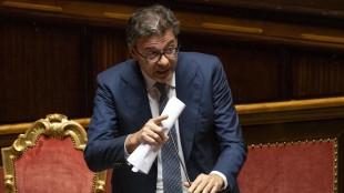 Giorgetti, trattamento 'migliore' su spese per i figli