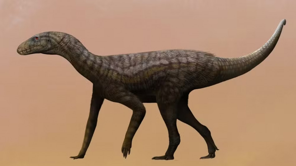 Scoperto in Brasile il fossile di un precursore dei dinosauri