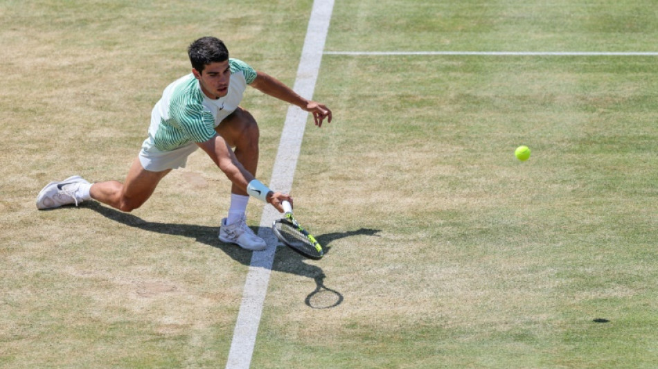 Tennis: Alcaraz et le gazon, ça commence à coller