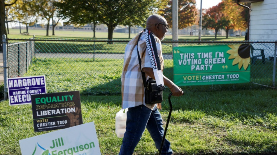 El voto verde de Wisconsin que irrita a los demócratas