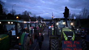 Agricultores europeus mantêm bloqueios na França e levam protestos à Espanha