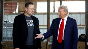 Trump names Musk to 'efficiency' post as team takes shape