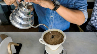 Au Yémen, les cafés gourmands se multiplient dans la capitale meurtrie